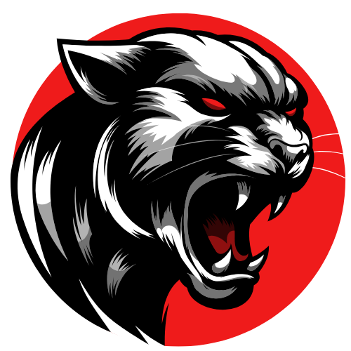 Metin2 Kingdom - PVP Server Tanıtımları